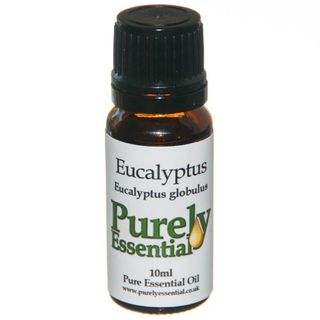 Eucalyptus Essential Oil 10ml Pure and Natural, Purely Essential