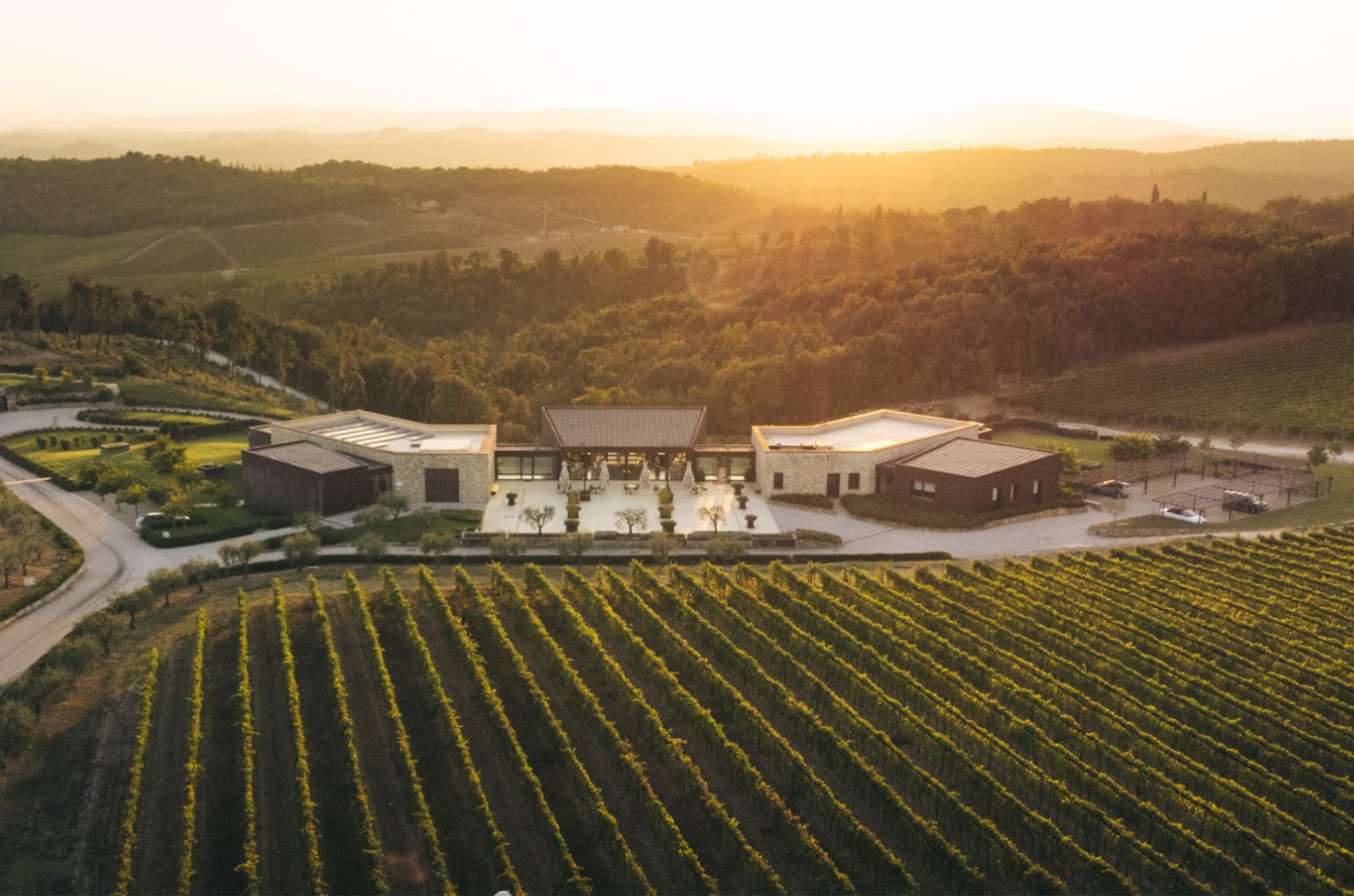 View over rows of vines to the Vallepicciola winery.