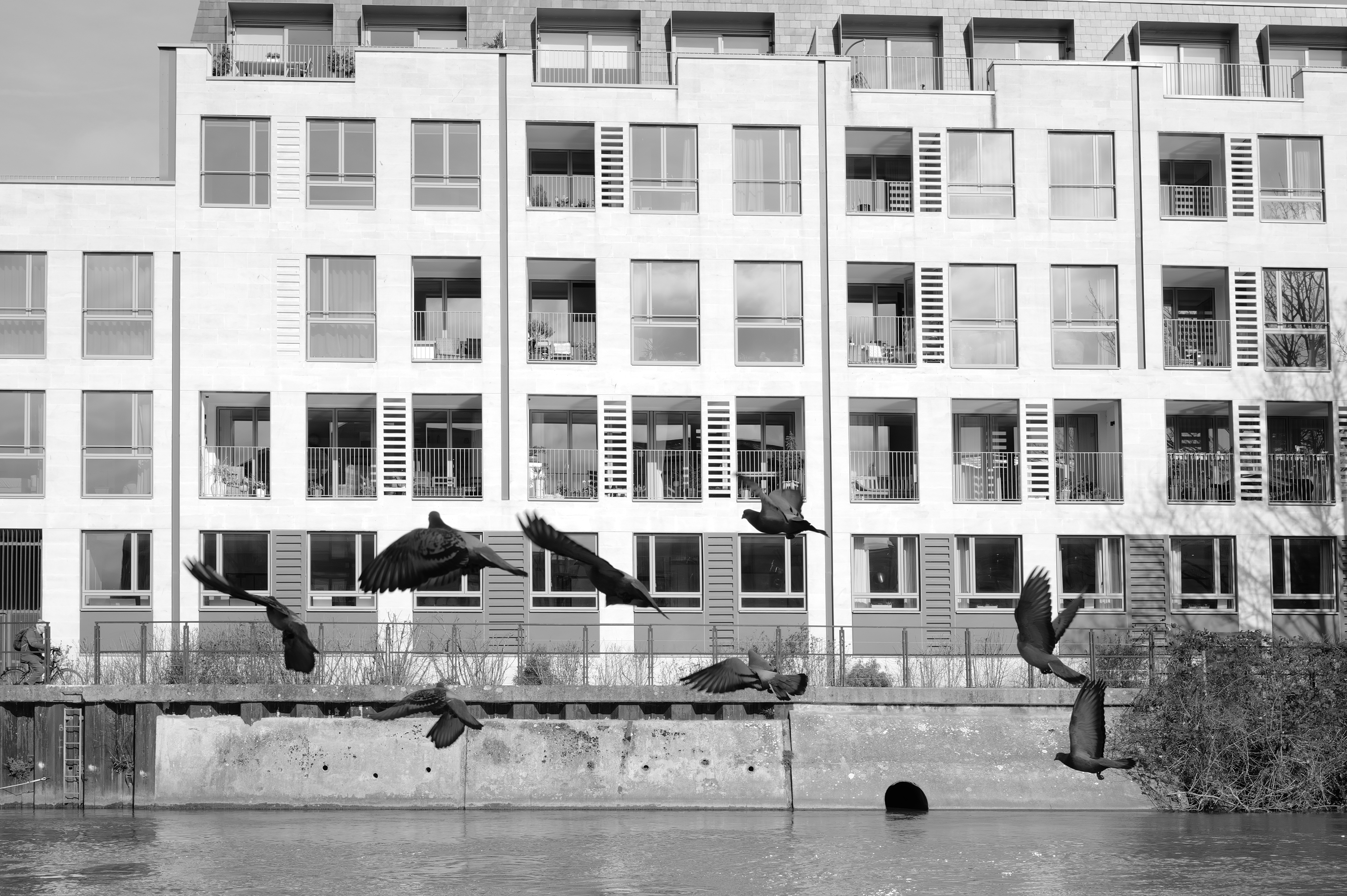 A photo taken on a Leica Q3 Monochrom black-and-white camera