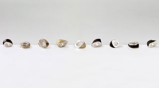 Isabel Bonner's sculptural jewellery
