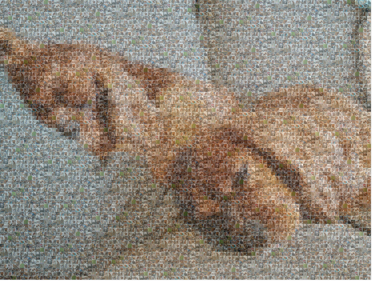 Ruben Charlie Mosaic