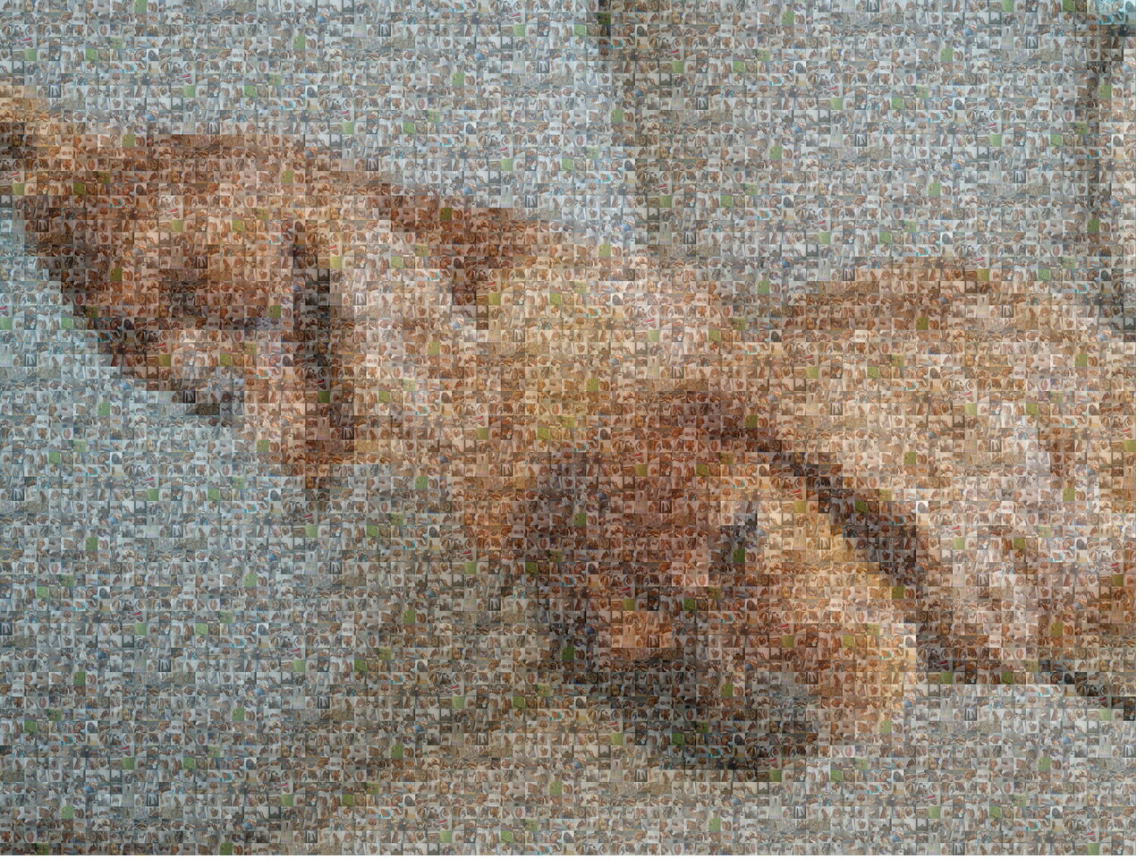 Ruben Charlie Mosaic