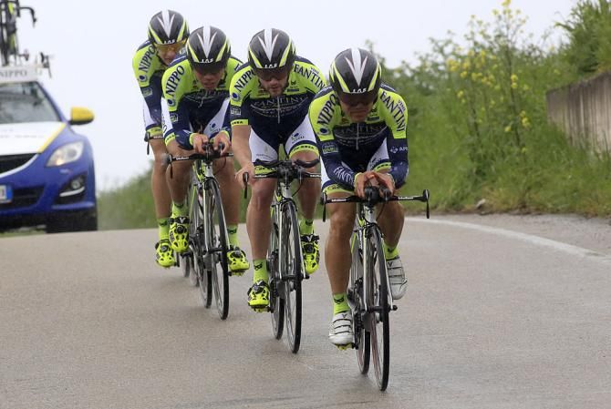 Team Vini Fantini