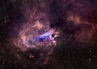 Omega Nebula by Fred Herrmann 