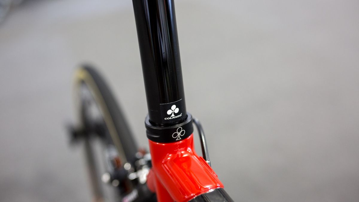 A Colnago sticker marks Swift's seat height