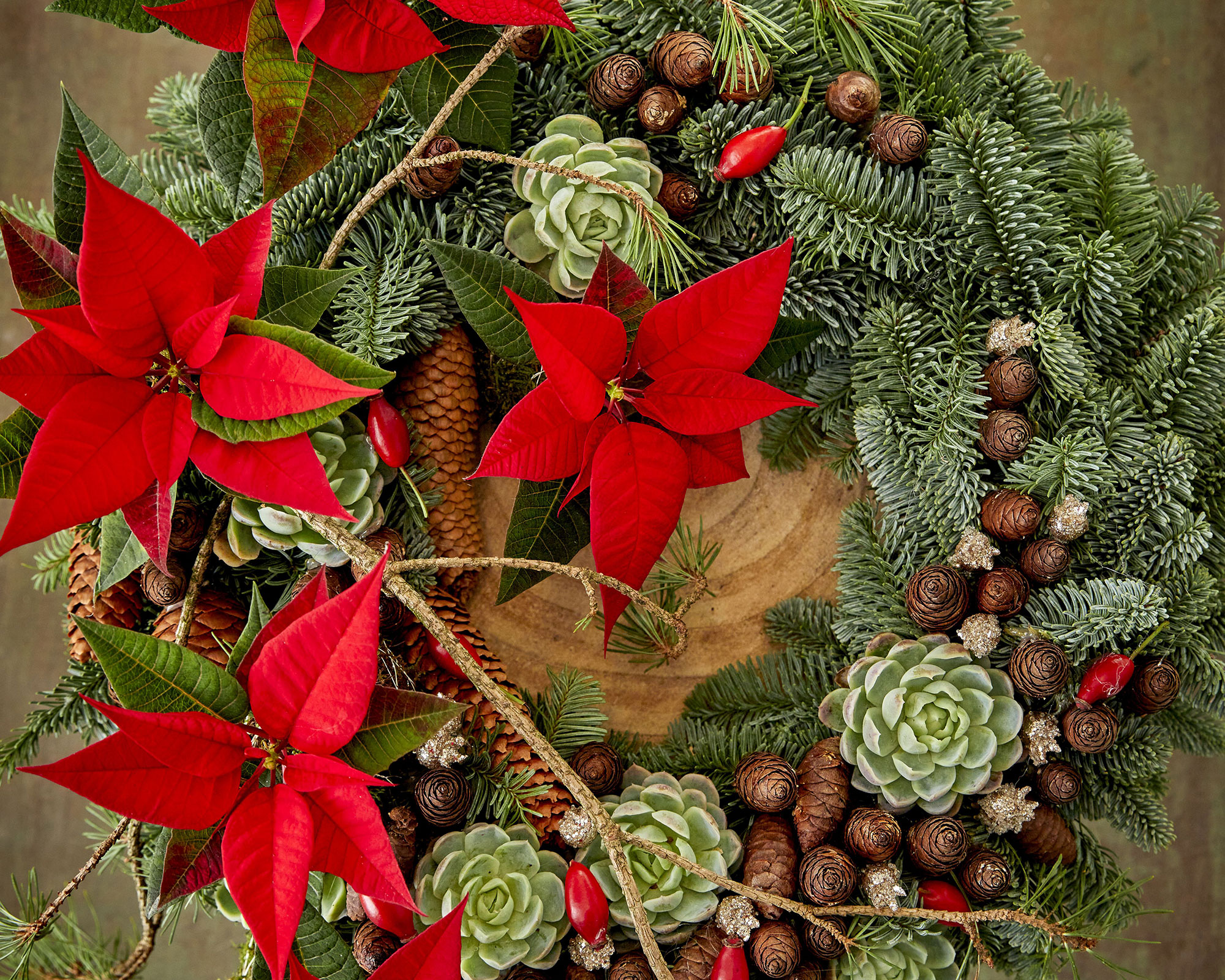 christmas wreath with poinsettia, spruce, fir cones and rose hips