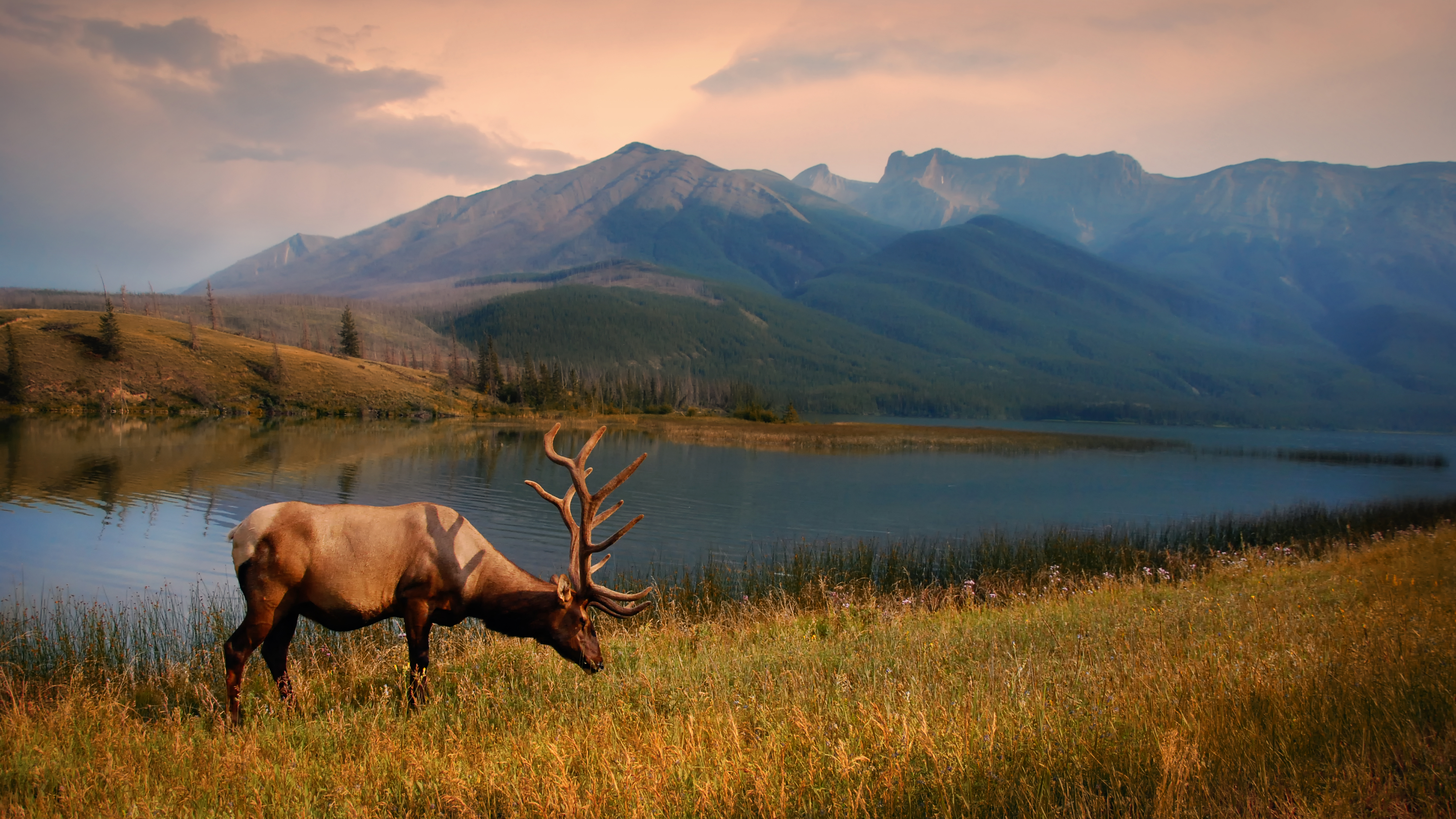 Jasper National Park