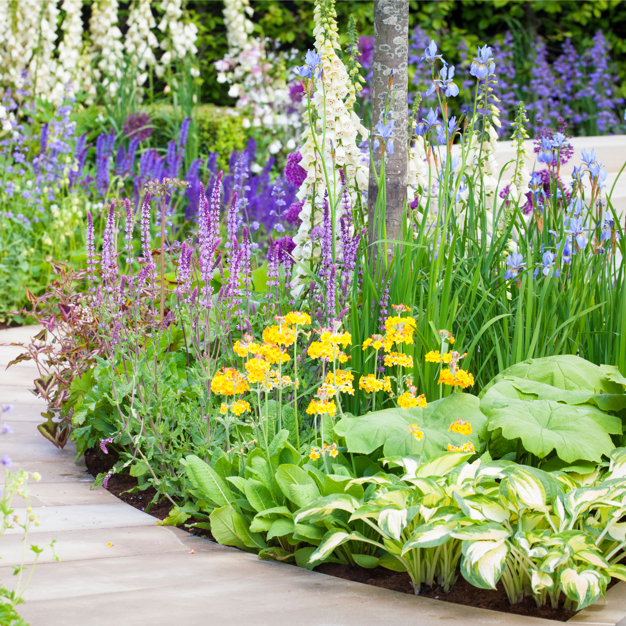 lush perennial garden with path