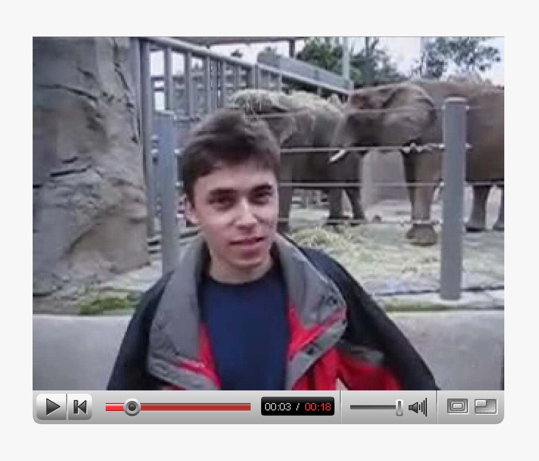 'Me at the Zoo', the first video on YouTube
