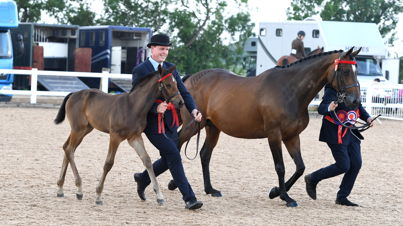 Mare and foal in the show ring: preparing mares and foals for the show ring