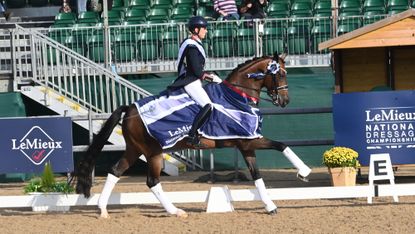 Charlotte Dujardin rides Brave Heart II in canter, wearing the LeMieux National Dressage Championships rug, after being crowned national champion.