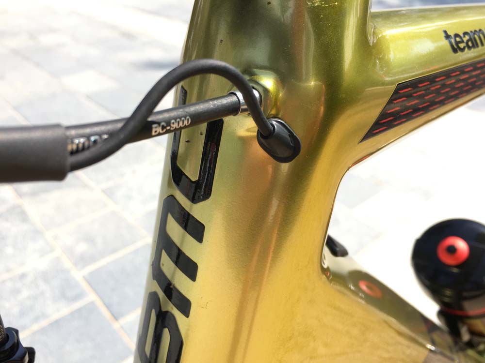 The gear and brake cables pass through the head tube