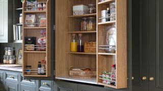 dark green kitchen with pantry cupboard