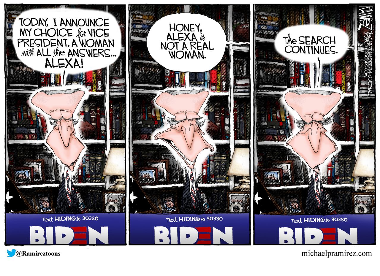 Political Cartoon U.S. Biden Vice President search