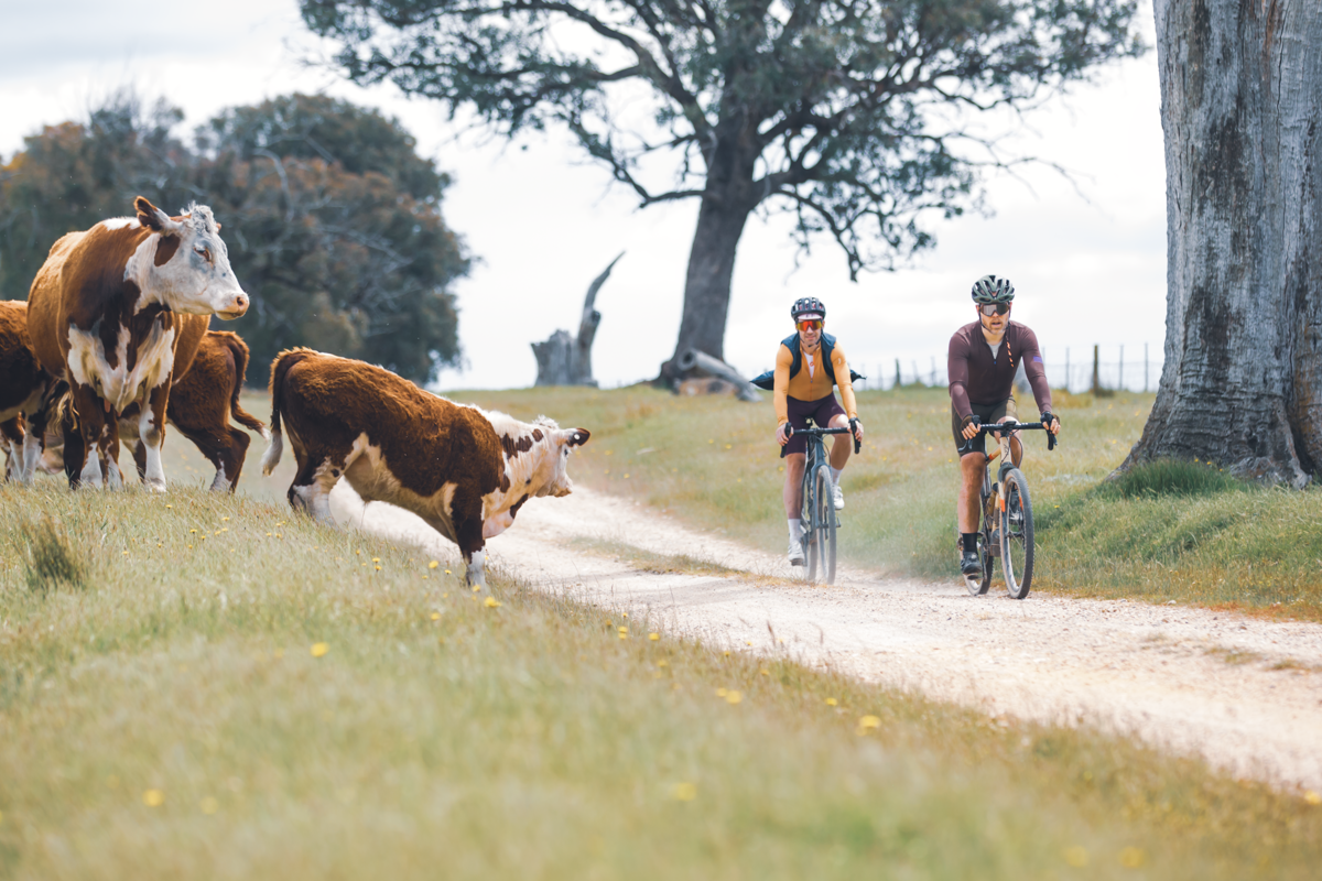 The Gravelista round of the UCI Gravel World Series race in Beechworth, 2023