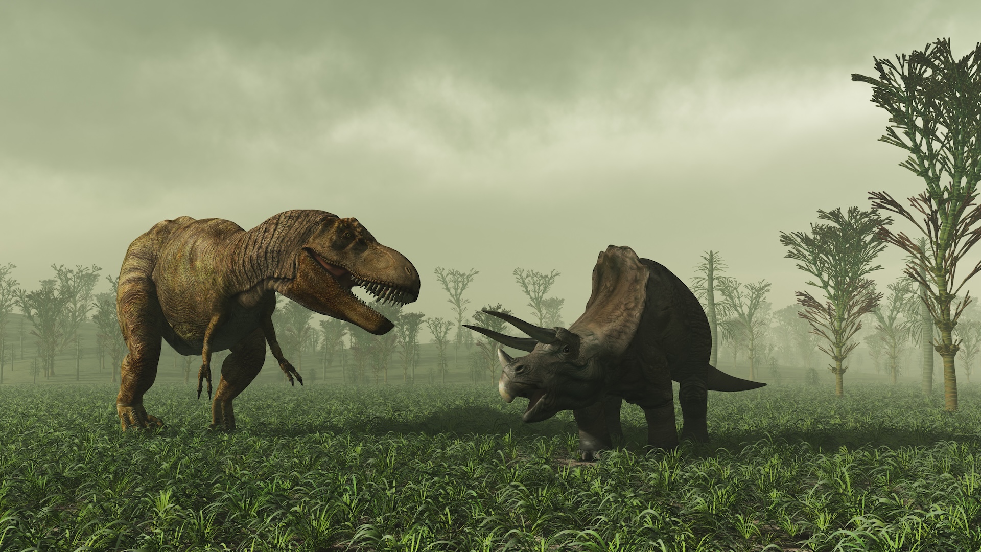 Dinosaurs: Facts about the reptiles that roamed Earth more than 66 million years ago