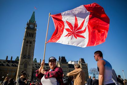 A woman in Ottawa flies a flag with a marijuana leaf on it.