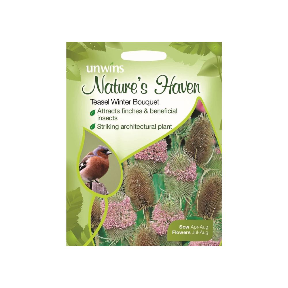 Unwins Pictorial Packet - Natures Haven Teasel Winter Bouquet