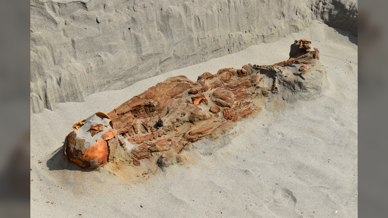 'Strange' tomb in Peru holds skeletons of people with ropes around their necks, hands tied behind their backs, archaeologists say