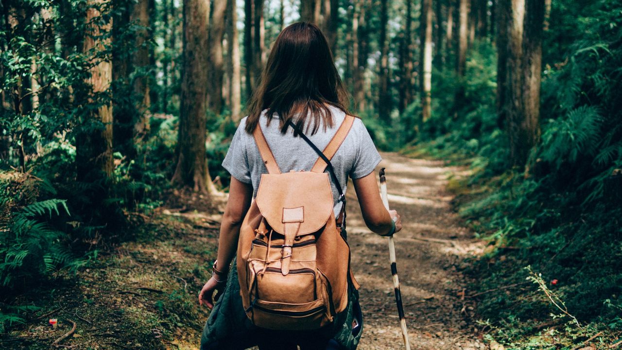 Trekking vs hiking what's the difference? Fit&Well