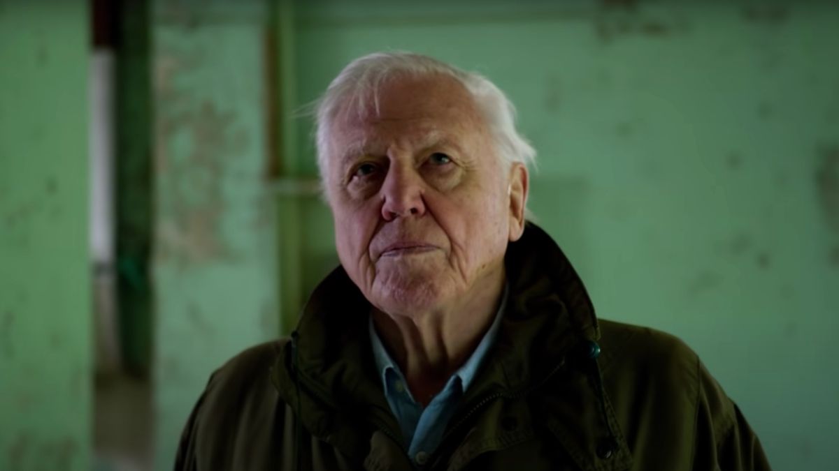 David Attenborough: What To Watch If You Like The Legendary Nature ...