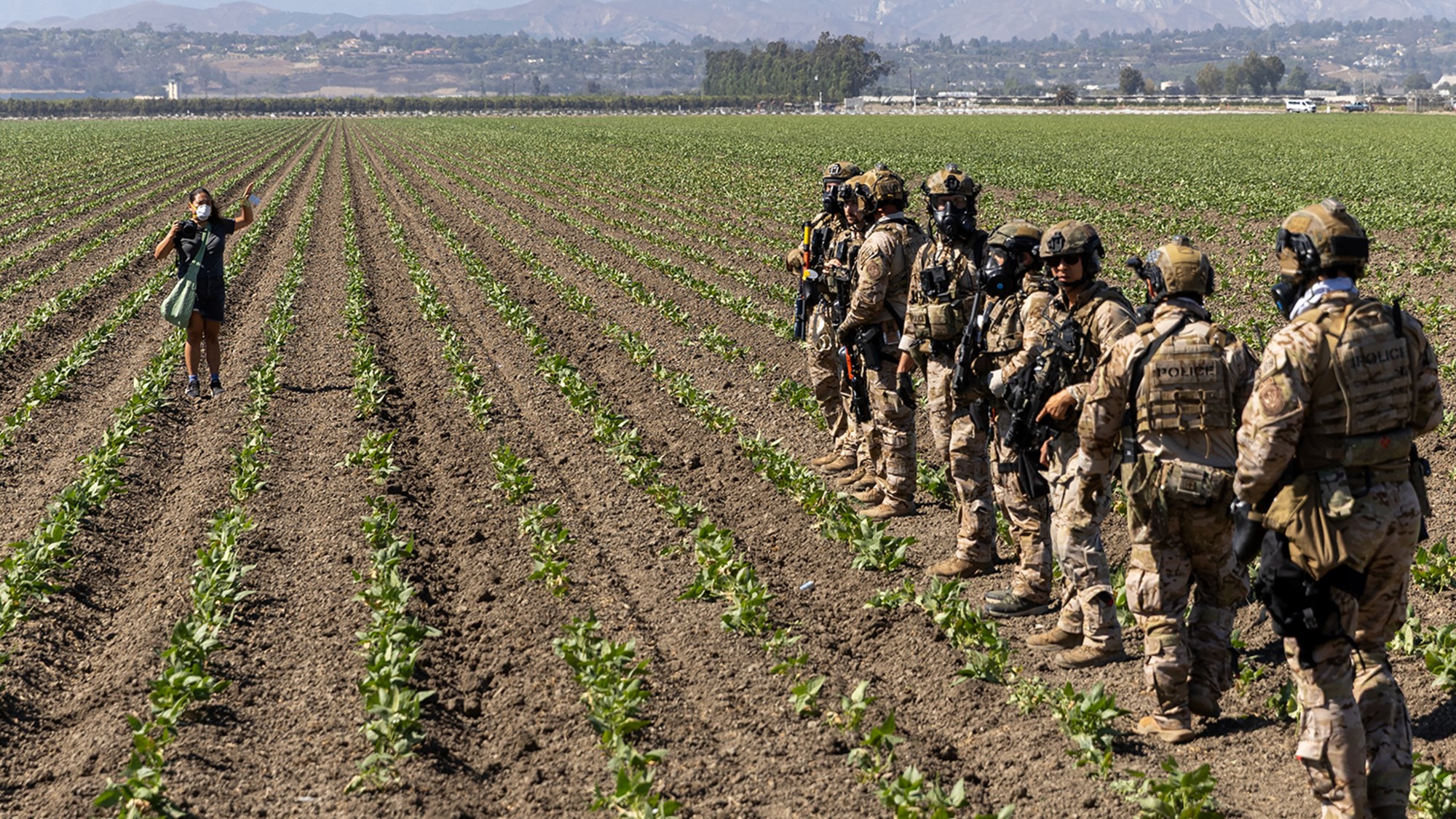 An immigration raid at a California farm