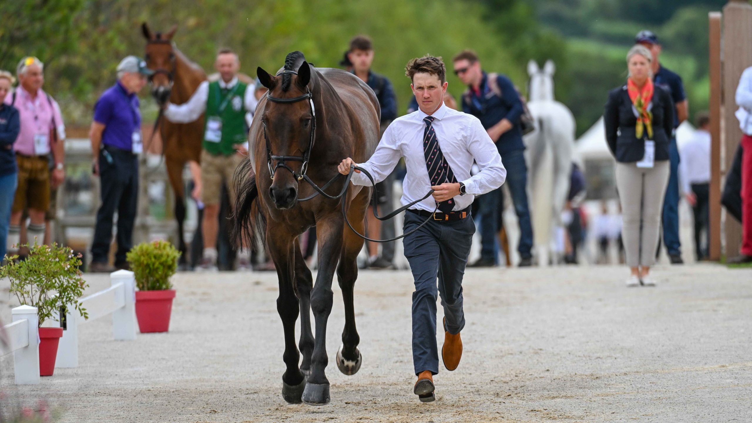 Tom McEwen and JL Dublin at the 2023 European Championships.