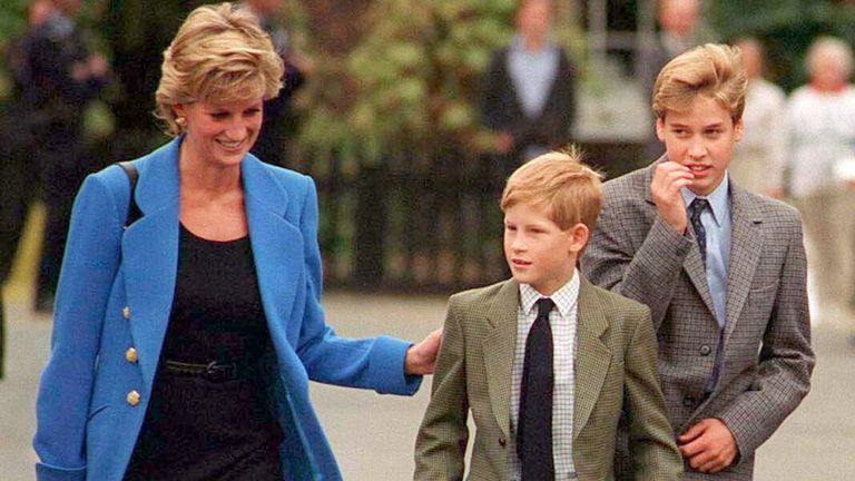 Princess Diana with Young Prince Harry & Prince William