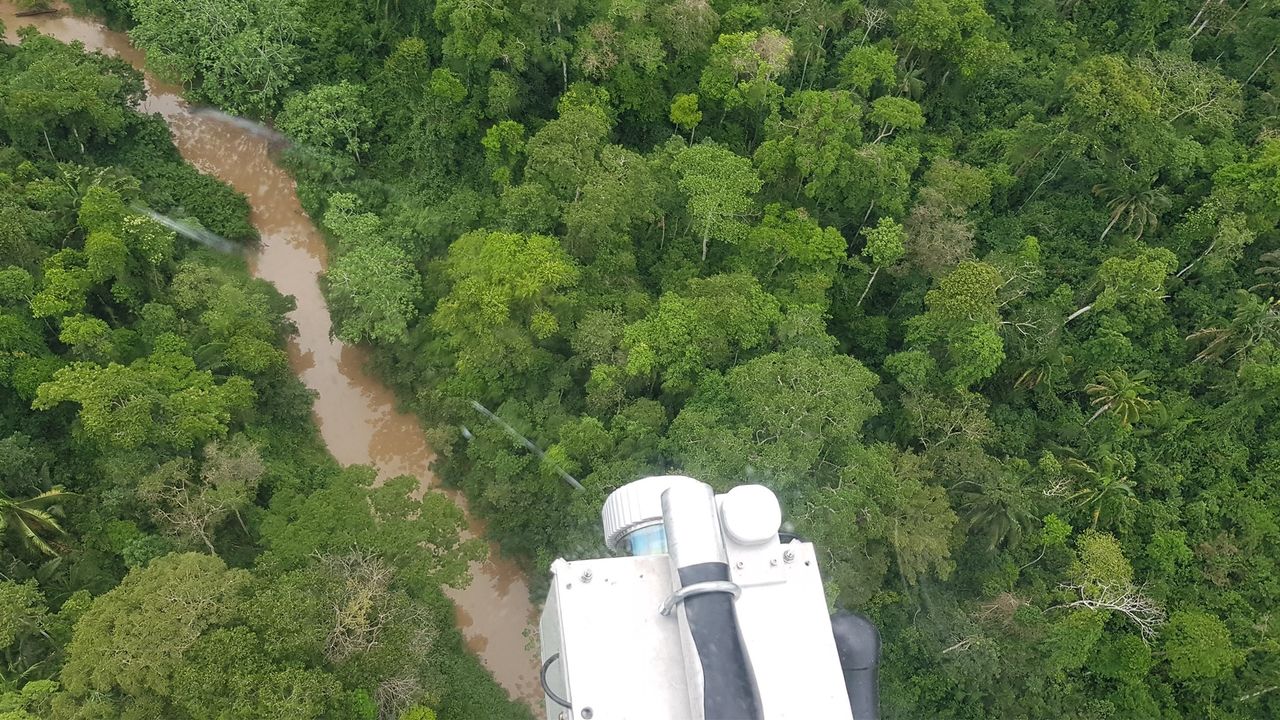 A view of the Amazon rainforest from the helicopter during the lidar survey.
