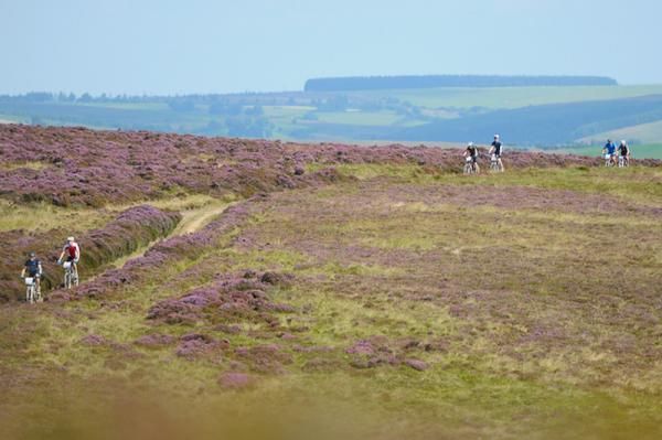 The field was broken up by the series of climbs on day two