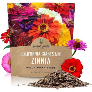 Zinnia Seeds - California Giants Mix 