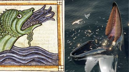 Left image shows a drawing of a sea monster depicted in light green and sticking its head out of the water to gobble up fish. The right image shows a digital illustration of a whale eating in a similar way.