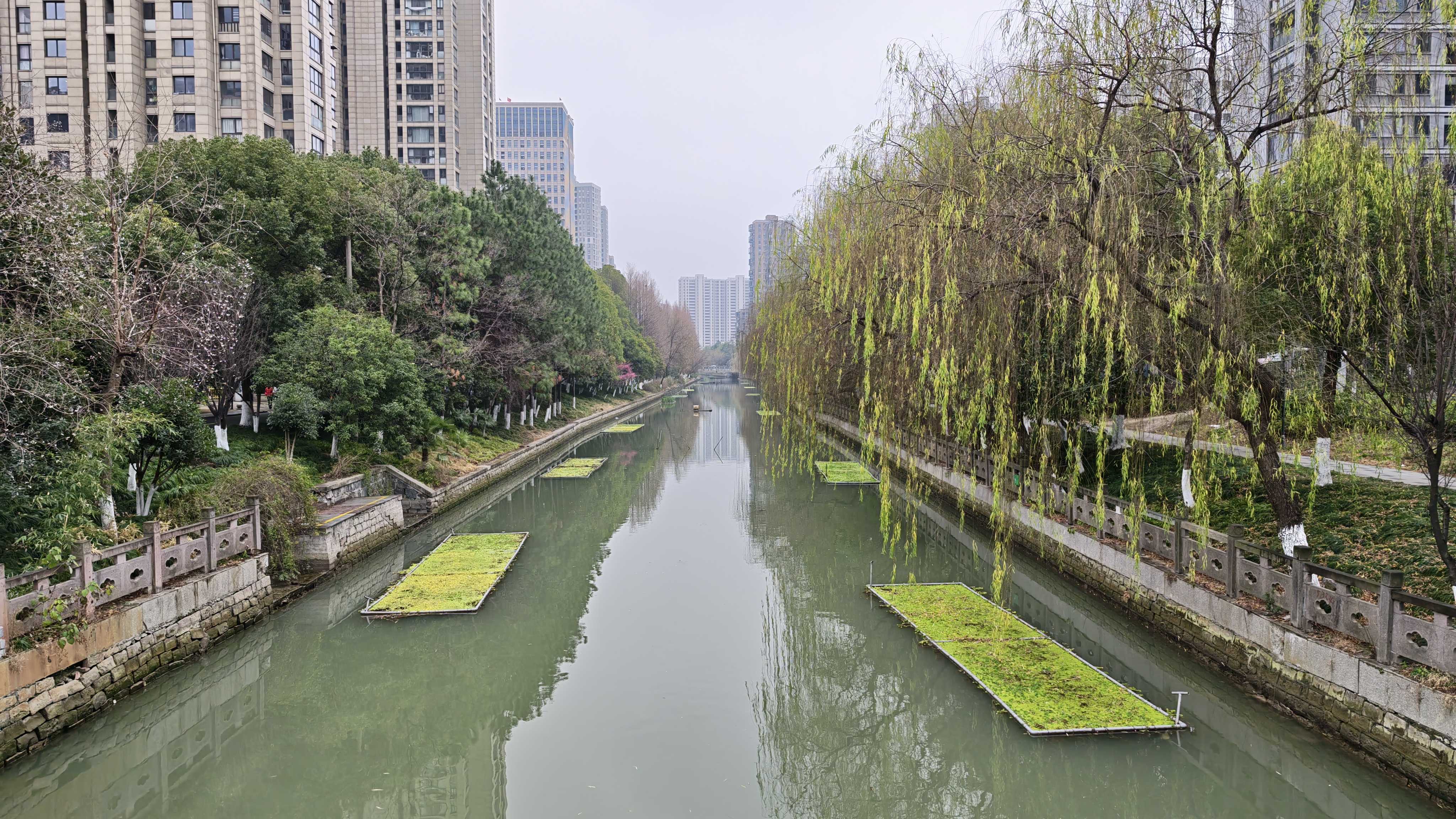 Honor Magic 8 Pro camera samples