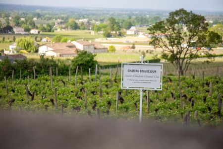 St-&Eacute;milion en primeur 2023
