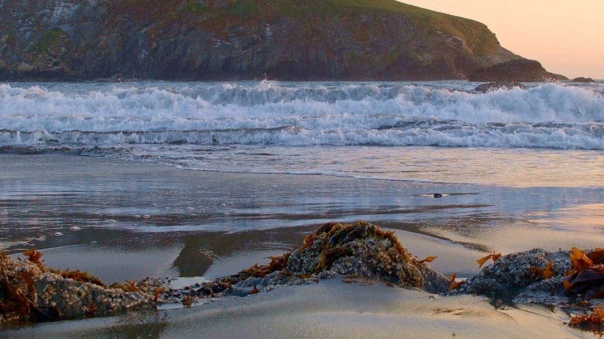 Oregon Beach Ocean Shore