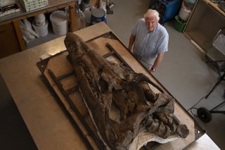 David Attenborough standing next to a huge pliosaur fossilized skull