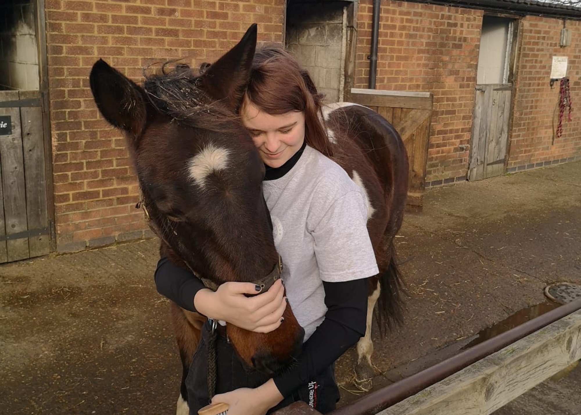 A girl hugging a coloured horse
