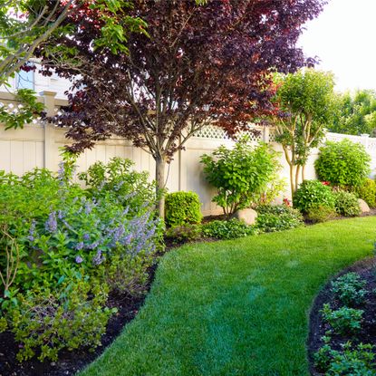 Backyard with shrubs, trees, and fence