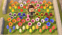 Animal Crossing: New Horizons flowers