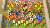 Animal Crossing: New Horizons flowers guide