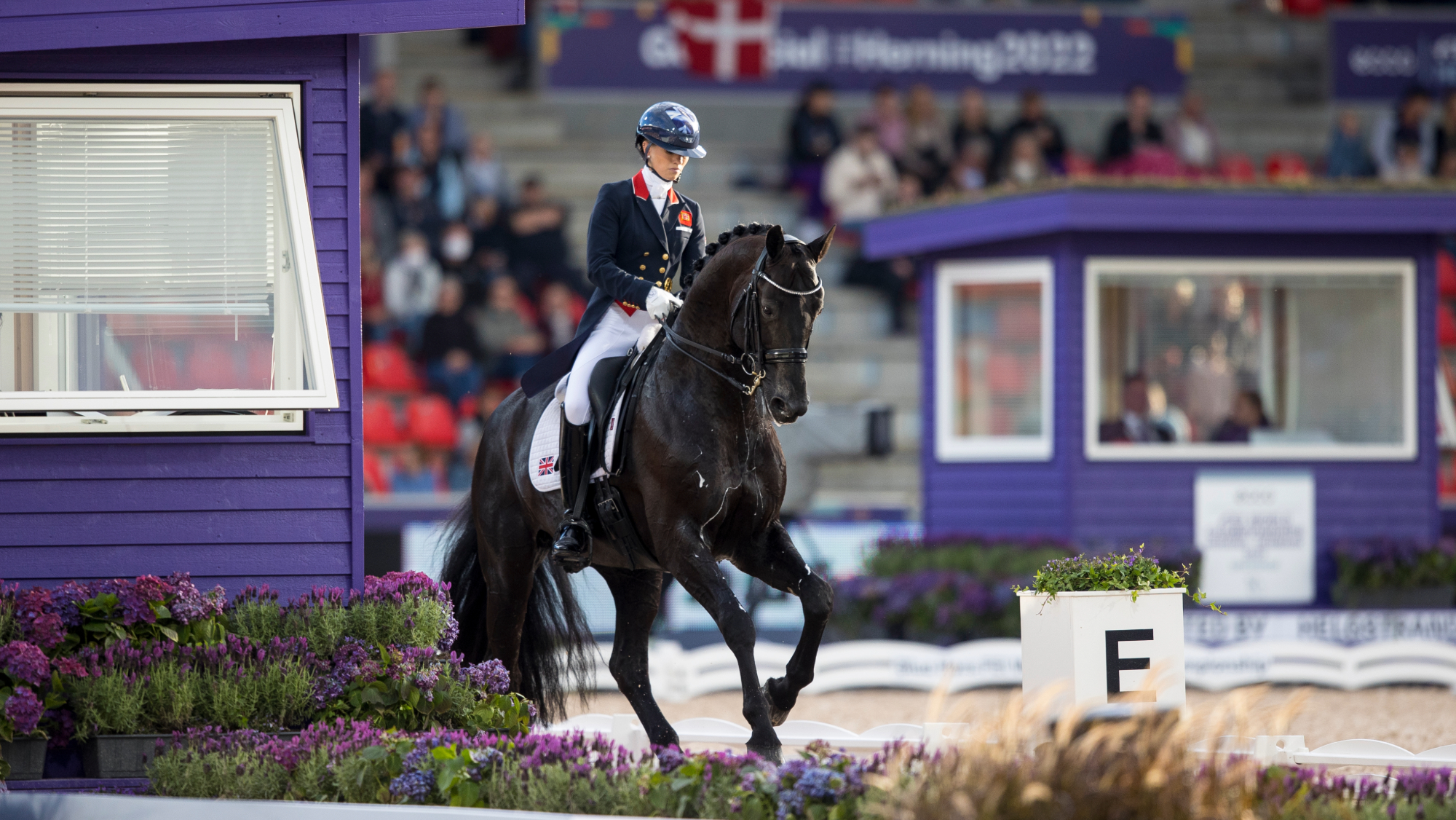 Lottie Fry riding the black stallion Glamourdale in a dressage grand prix test