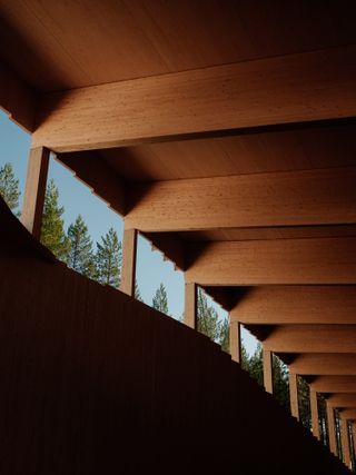 detail of the timber construction at The Plus