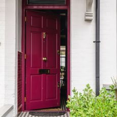 front door colour mistakes, magenta front door with brass brassware, white painted exterior 