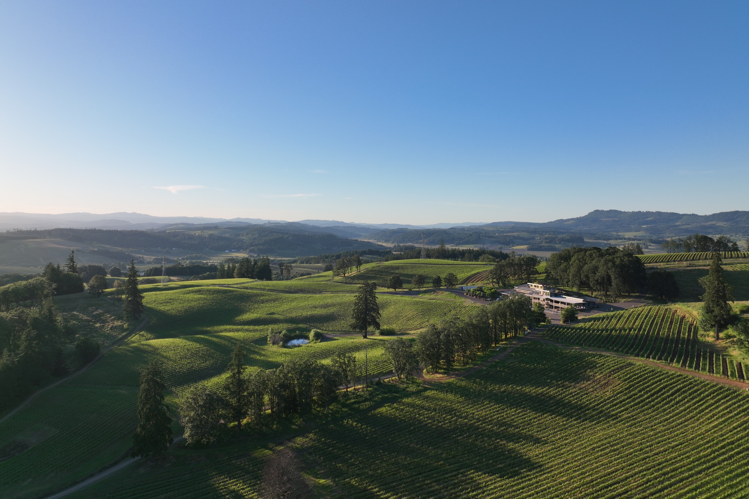 An aerial view of Alexana's vineyard estate in the Dundee Hills of Oregon