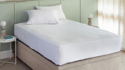 Soak &amp; Sleep Anti-Bed Bug Mattress Encasement