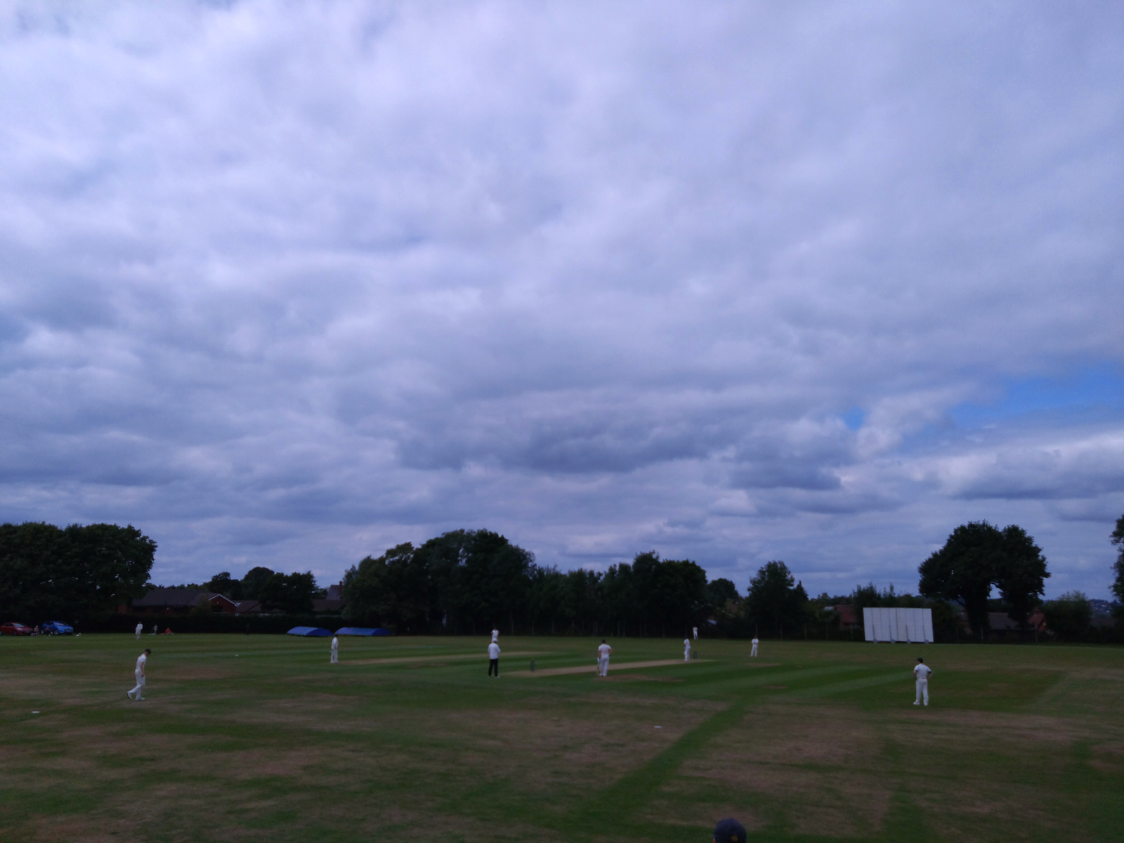 Sony Xperia 10 IV camera sample showing a cricket pitch