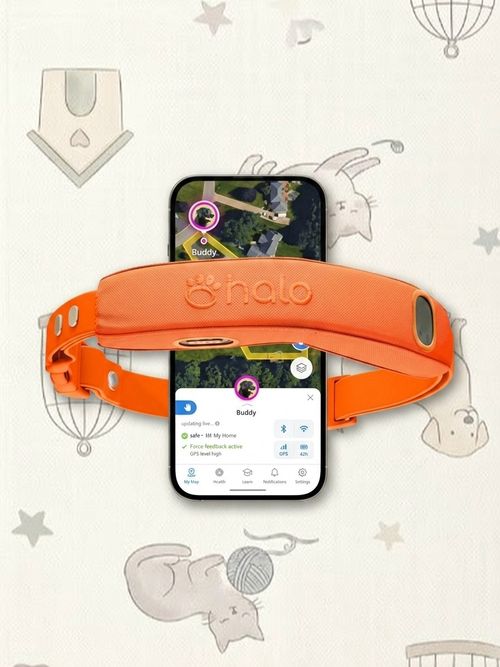 Collar 5 Wireless Dog Fence & GPS Dog Collar