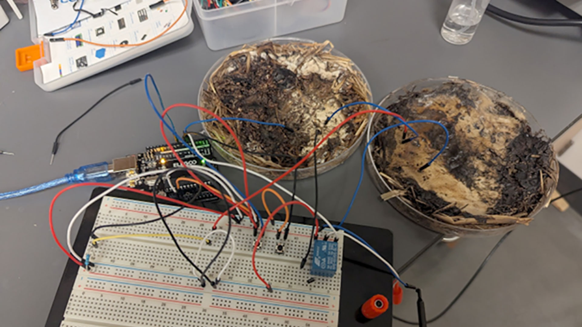 Sustainable memristors from shiitake mycelium for high-frequency bioelectronics