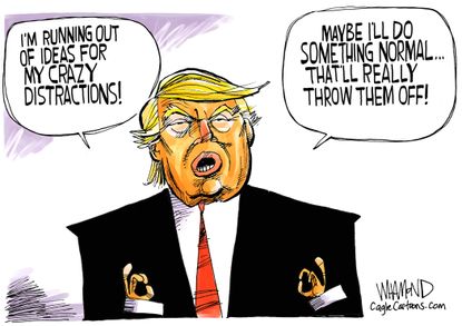 Political cartoon U.S. Trump distractions