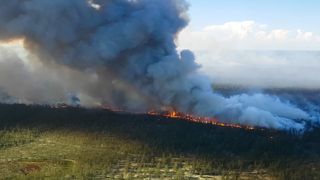 Siberian wildfire have been growing in intensity year on year, with 2021's damage being the worst since record began. 